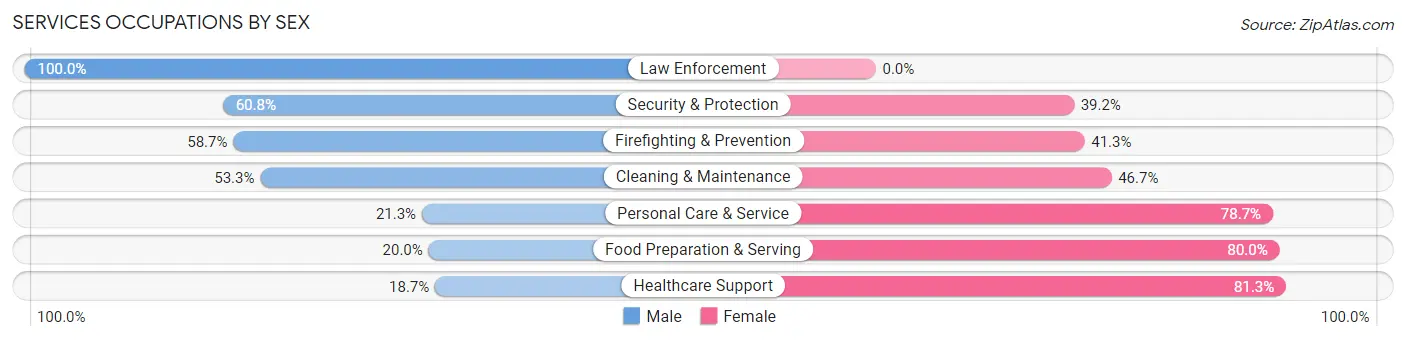 Services Occupations by Sex in Zip Code 76078