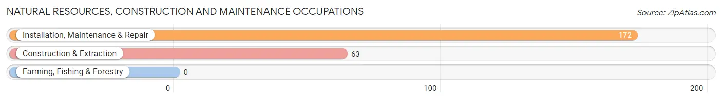 Natural Resources, Construction and Maintenance Occupations in Zip Code 76102