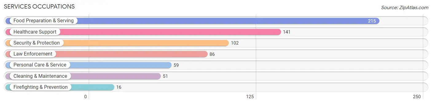 Services Occupations in Zip Code 76102