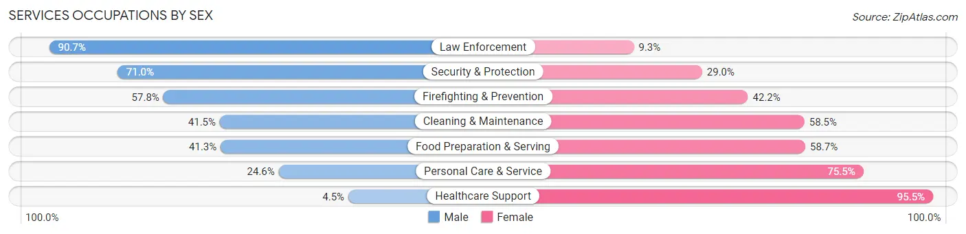 Services Occupations by Sex in Zip Code 76110