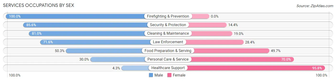 Services Occupations by Sex in Zip Code 76132