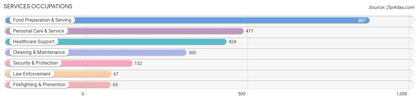 Services Occupations in Zip Code 76132