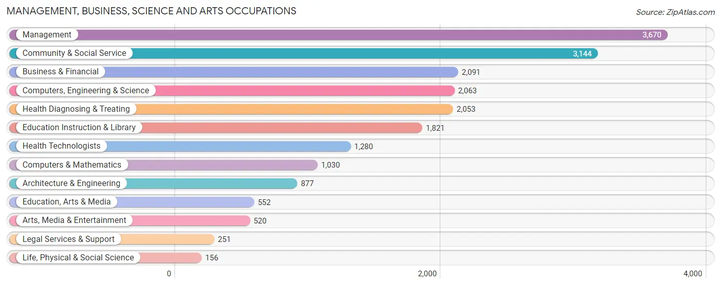 Management, Business, Science and Arts Occupations in Zip Code 76137