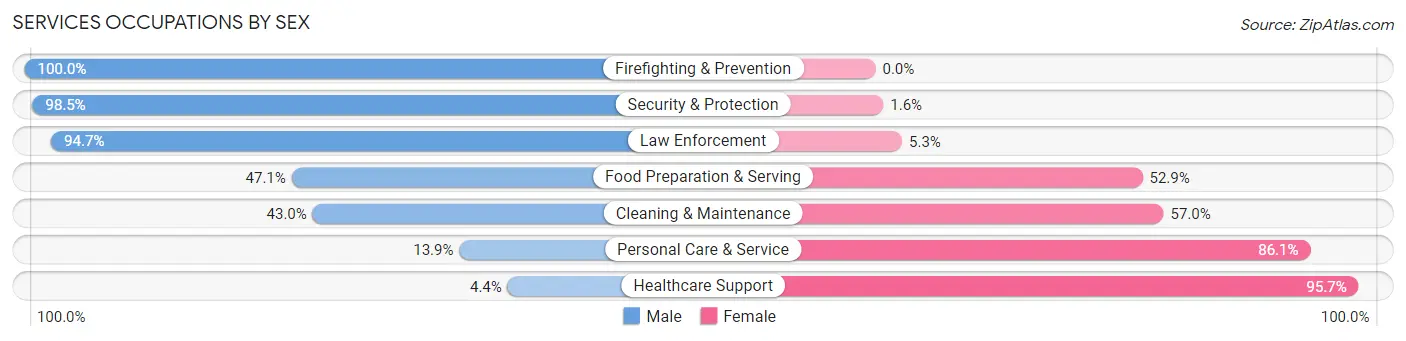 Services Occupations by Sex in Zip Code 76140