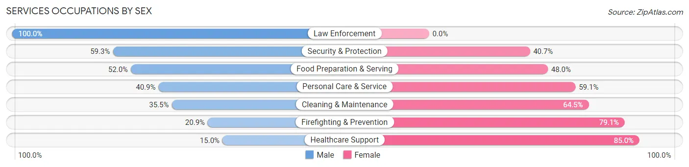 Services Occupations by Sex in Zip Code 76201