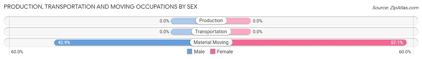 Production, Transportation and Moving Occupations by Sex in Zip Code 76203