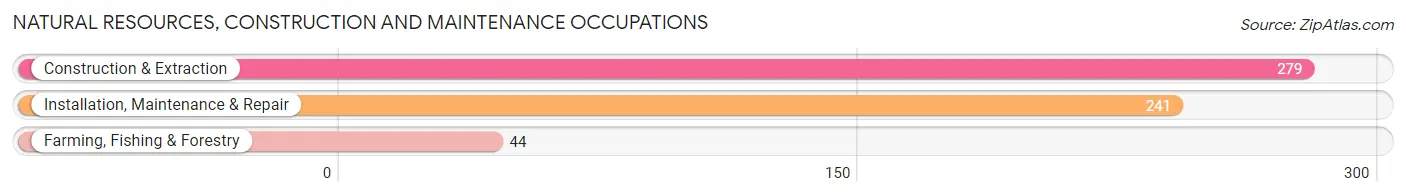 Natural Resources, Construction and Maintenance Occupations in Zip Code 76226