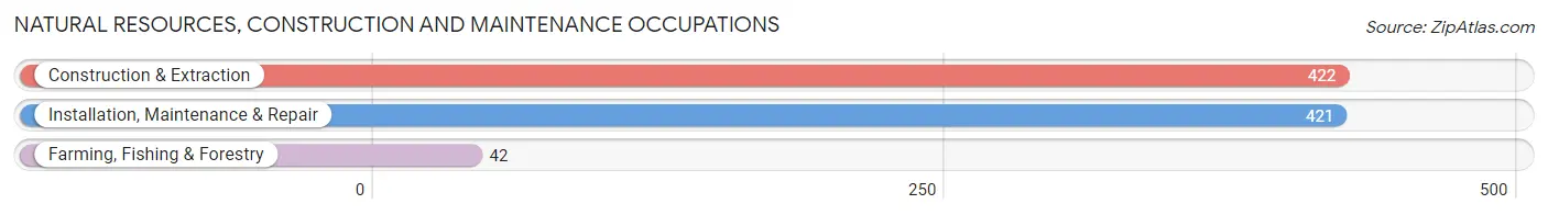 Natural Resources, Construction and Maintenance Occupations in Zip Code 76234