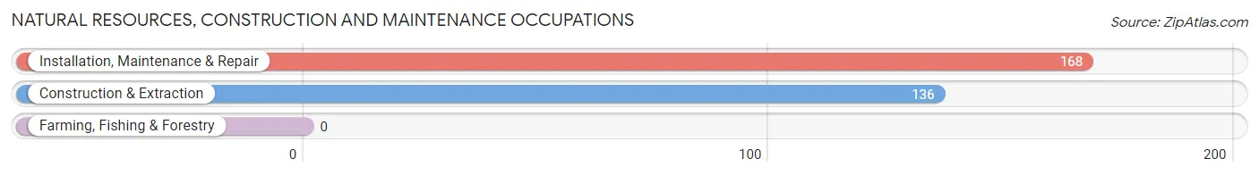 Natural Resources, Construction and Maintenance Occupations in Zip Code 76259