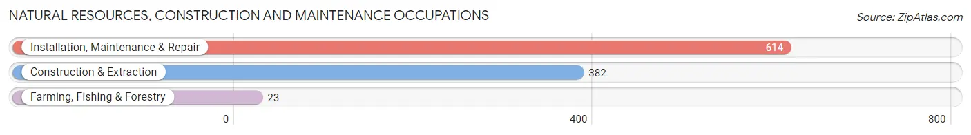 Natural Resources, Construction and Maintenance Occupations in Zip Code 76262