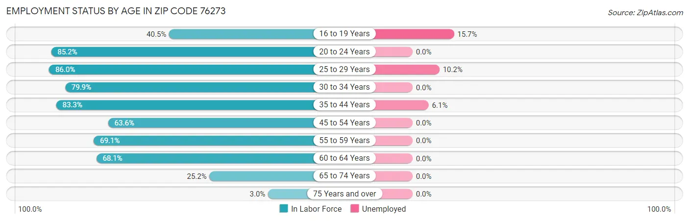 Employment Status by Age in Zip Code 76273