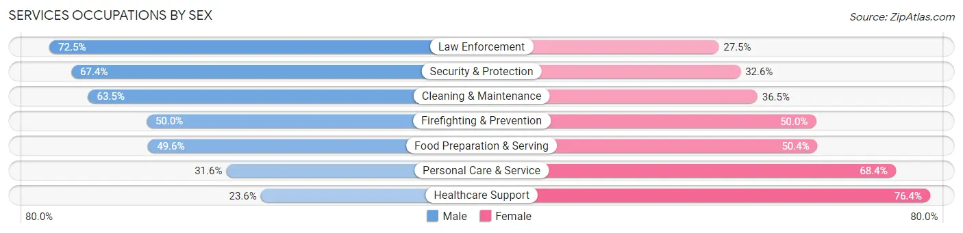 Services Occupations by Sex in Zip Code 76309