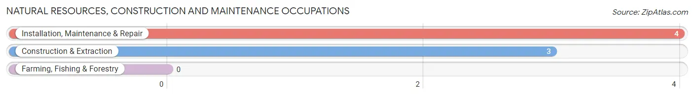 Natural Resources, Construction and Maintenance Occupations in Zip Code 76364