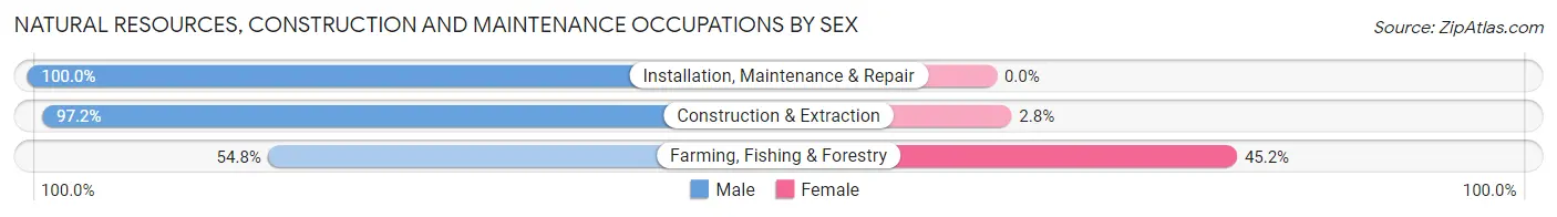 Natural Resources, Construction and Maintenance Occupations by Sex in Zip Code 76365