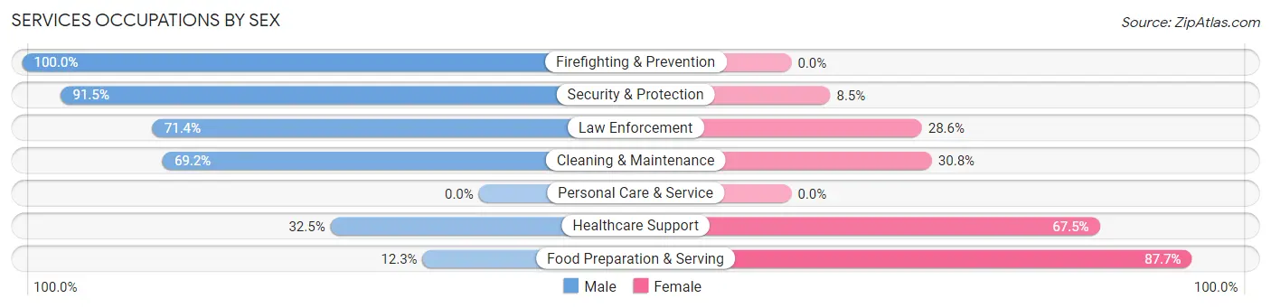 Services Occupations by Sex in Zip Code 76365