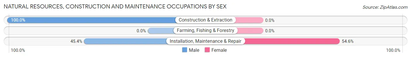 Natural Resources, Construction and Maintenance Occupations by Sex in Zip Code 76367