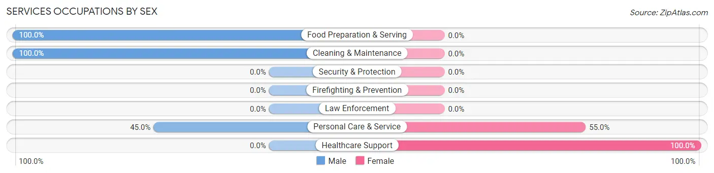 Services Occupations by Sex in Zip Code 76374
