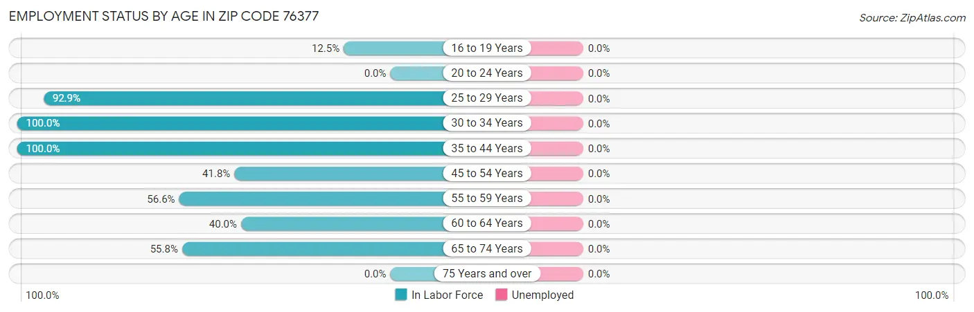 Employment Status by Age in Zip Code 76377