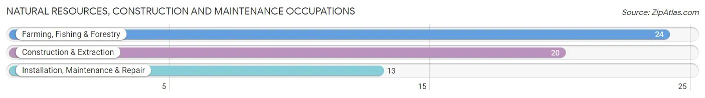 Natural Resources, Construction and Maintenance Occupations in Zip Code 76379