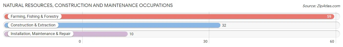 Natural Resources, Construction and Maintenance Occupations in Zip Code 76389