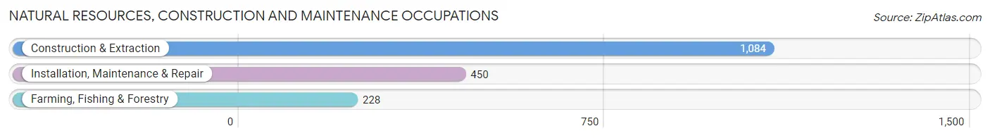 Natural Resources, Construction and Maintenance Occupations in Zip Code 76401