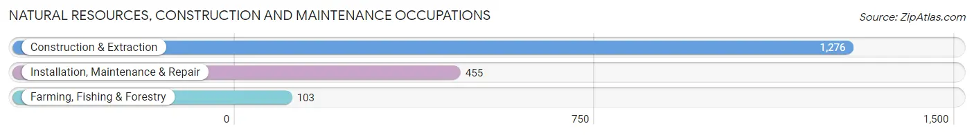 Natural Resources, Construction and Maintenance Occupations in Zip Code 76513