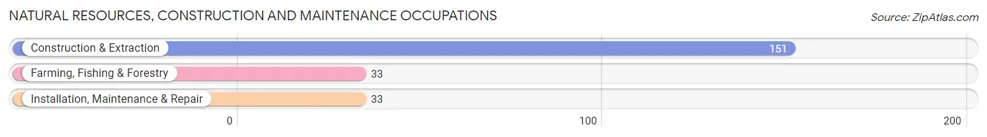 Natural Resources, Construction and Maintenance Occupations in Zip Code 76531