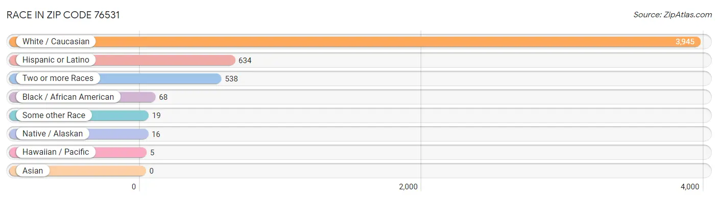 Race in Zip Code 76531