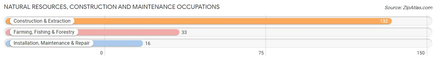 Natural Resources, Construction and Maintenance Occupations in Zip Code 76534