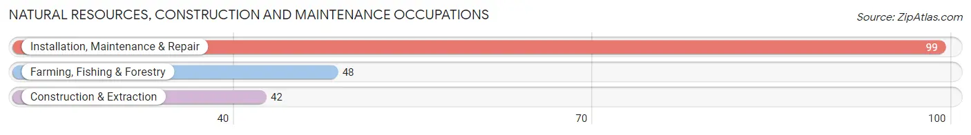 Natural Resources, Construction and Maintenance Occupations in Zip Code 76627