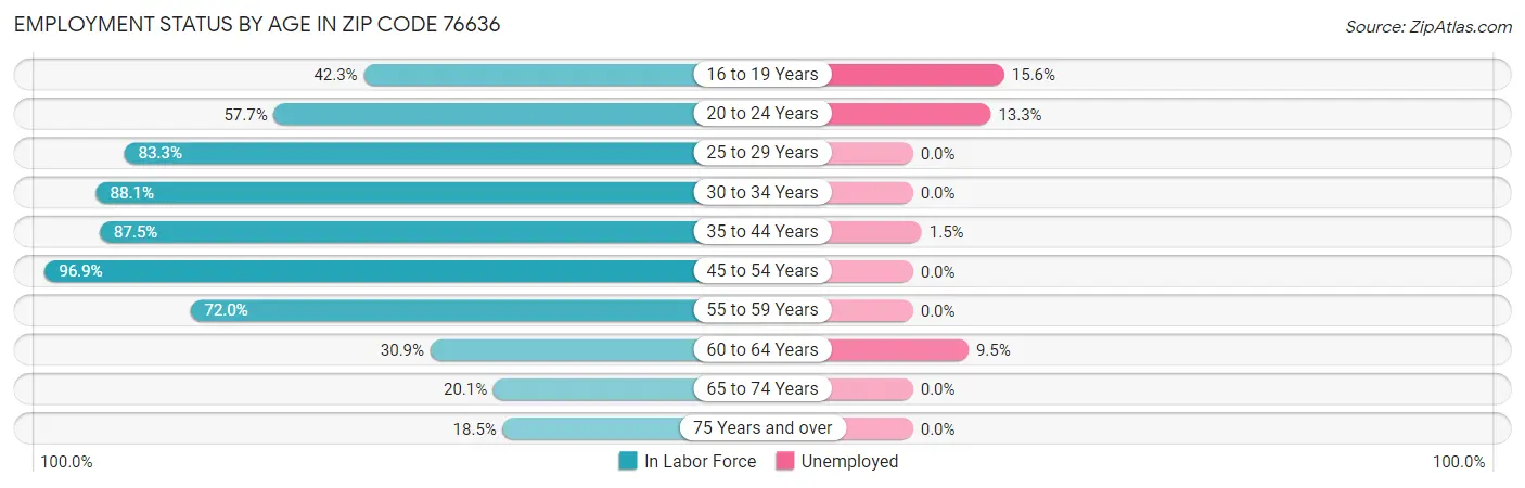 Employment Status by Age in Zip Code 76636