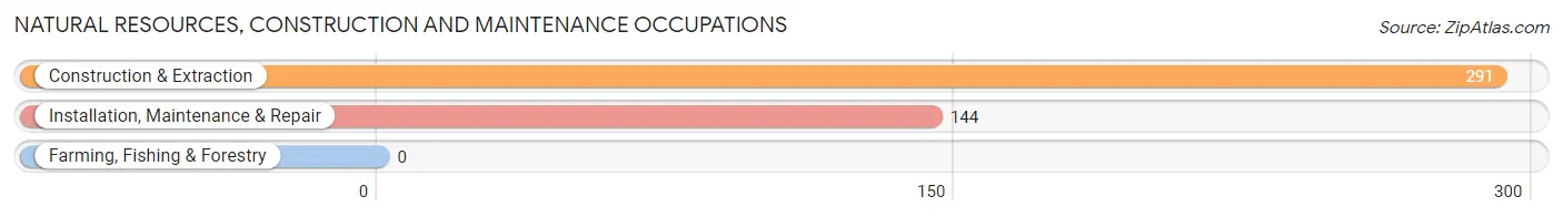 Natural Resources, Construction and Maintenance Occupations in Zip Code 76655