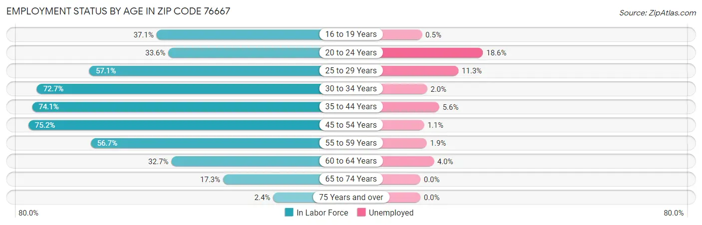 Employment Status by Age in Zip Code 76667