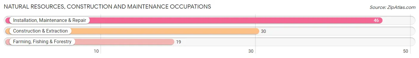 Natural Resources, Construction and Maintenance Occupations in Zip Code 76670