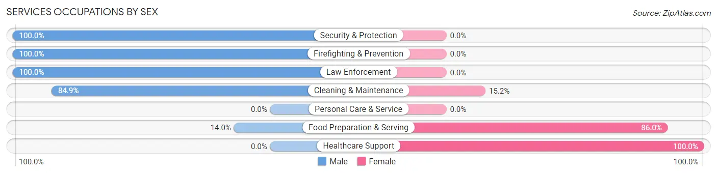 Services Occupations by Sex in Zip Code 76670