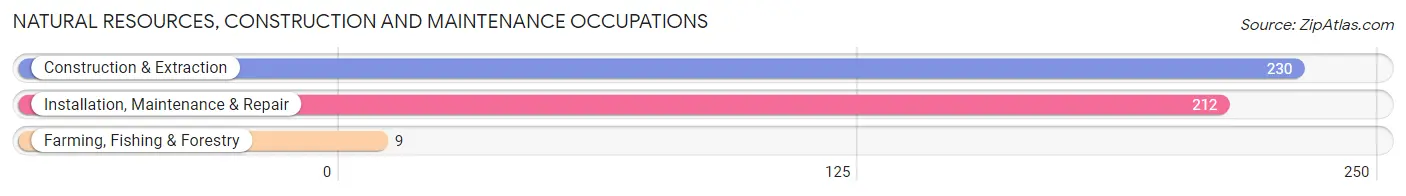 Natural Resources, Construction and Maintenance Occupations in Zip Code 76691