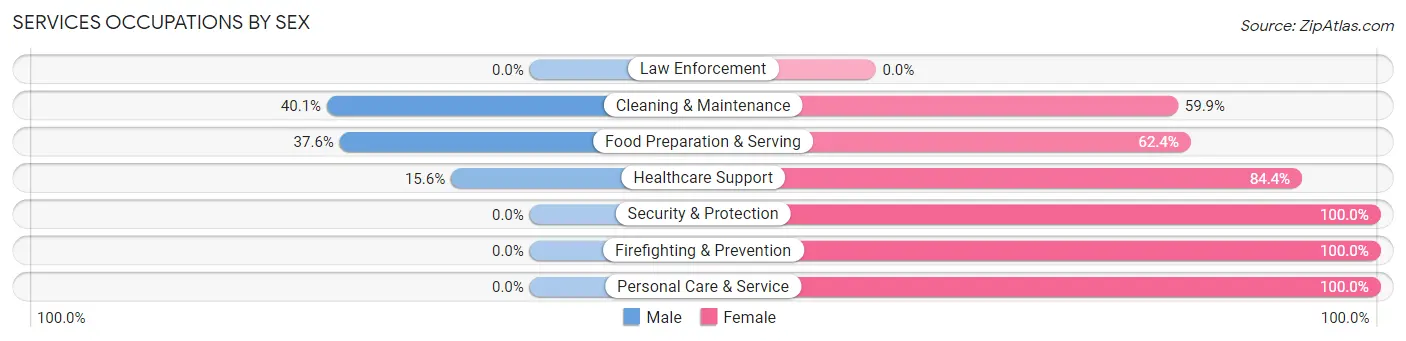 Services Occupations by Sex in Zip Code 76704