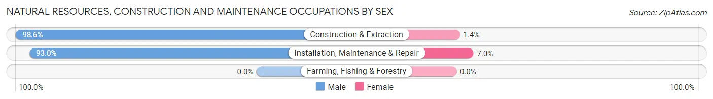 Natural Resources, Construction and Maintenance Occupations by Sex in Zip Code 76711