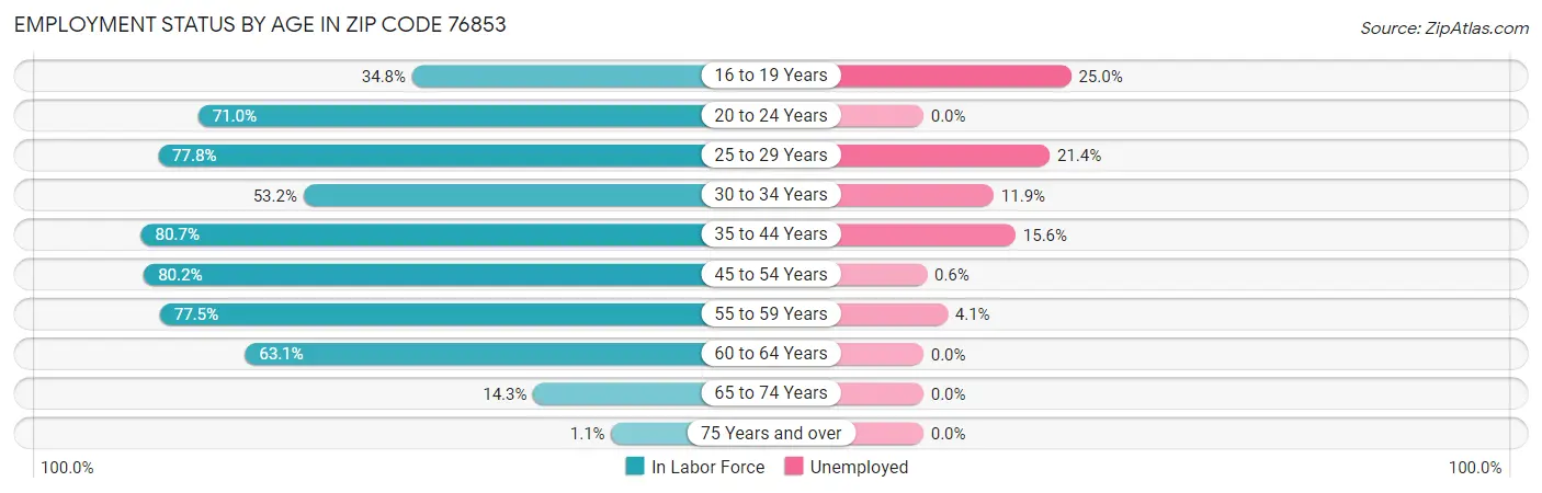 Employment Status by Age in Zip Code 76853