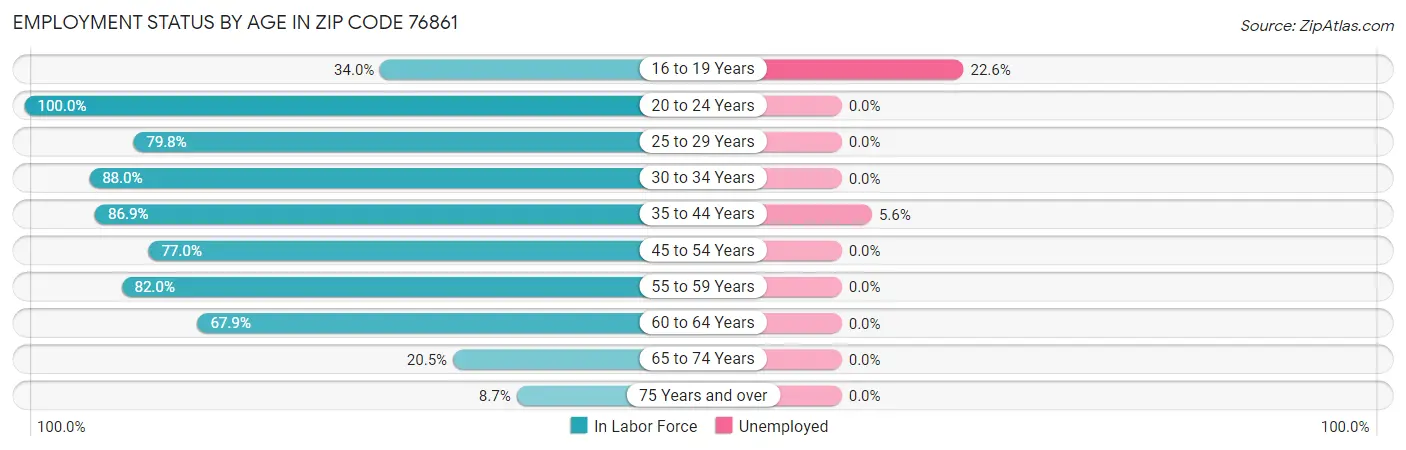 Employment Status by Age in Zip Code 76861