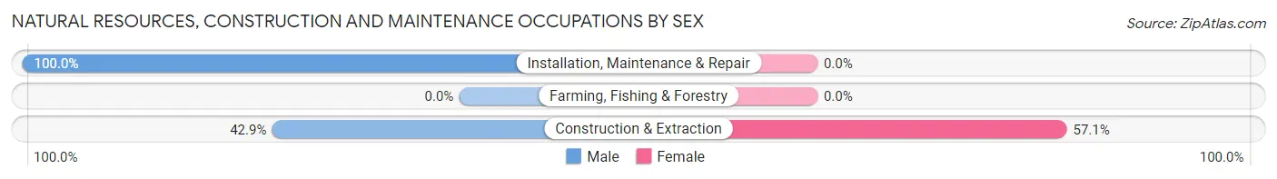 Natural Resources, Construction and Maintenance Occupations by Sex in Zip Code 76864