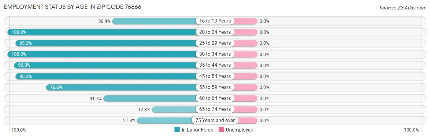 Employment Status by Age in Zip Code 76866