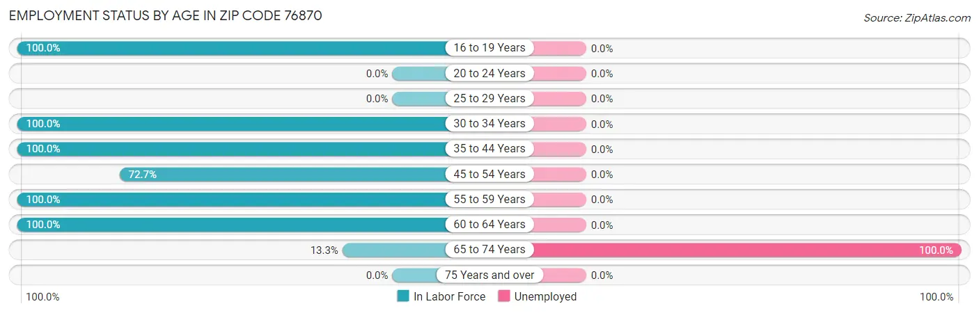 Employment Status by Age in Zip Code 76870