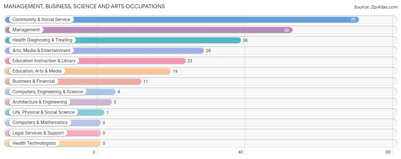 Management, Business, Science and Arts Occupations in Zip Code 76878