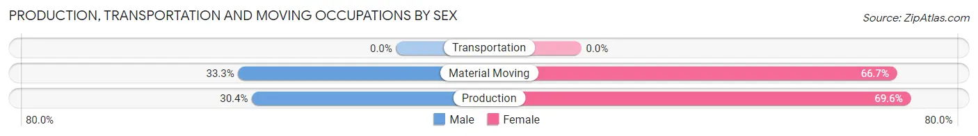 Production, Transportation and Moving Occupations by Sex in Zip Code 76934