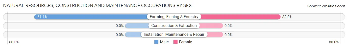 Natural Resources, Construction and Maintenance Occupations by Sex in Zip Code 76955