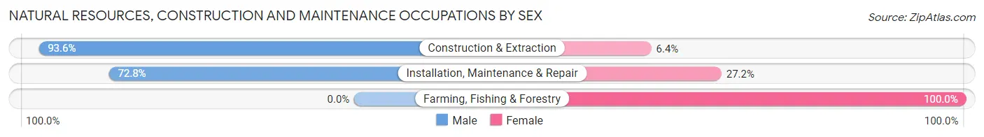 Natural Resources, Construction and Maintenance Occupations by Sex in Zip Code 77008