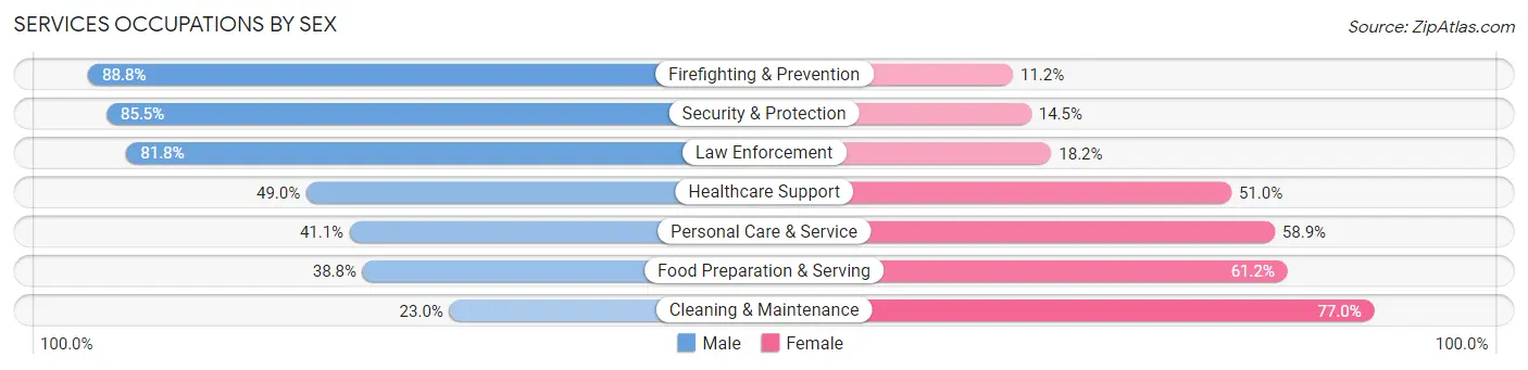 Services Occupations by Sex in Zip Code 77019