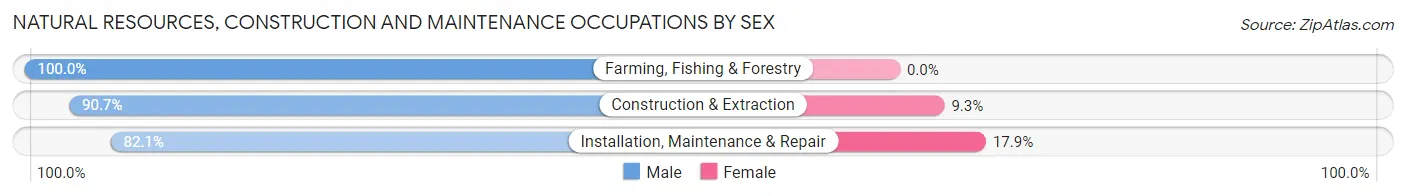 Natural Resources, Construction and Maintenance Occupations by Sex in Zip Code 77024