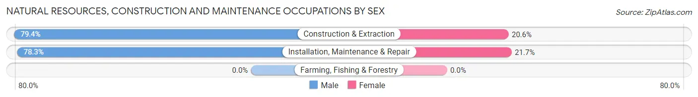 Natural Resources, Construction and Maintenance Occupations by Sex in Zip Code 77069